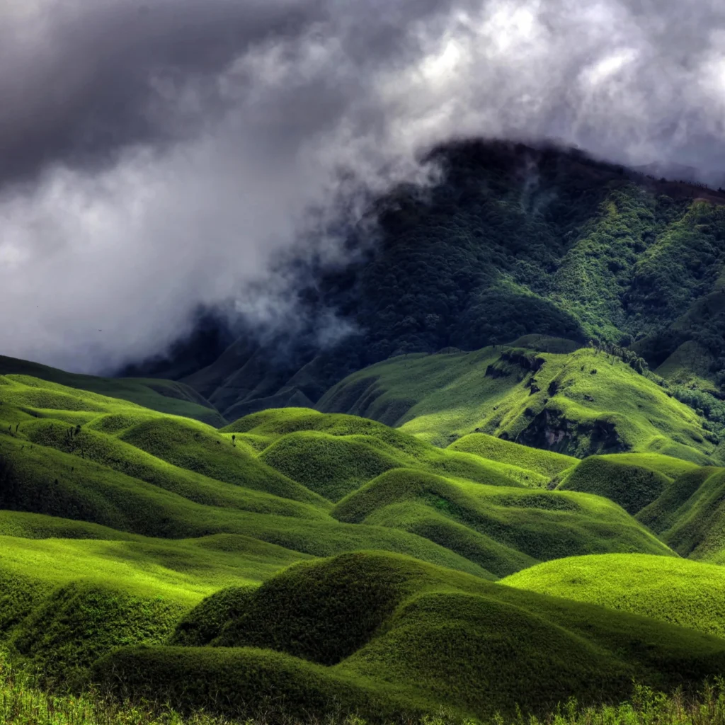 Nagaland Tour package