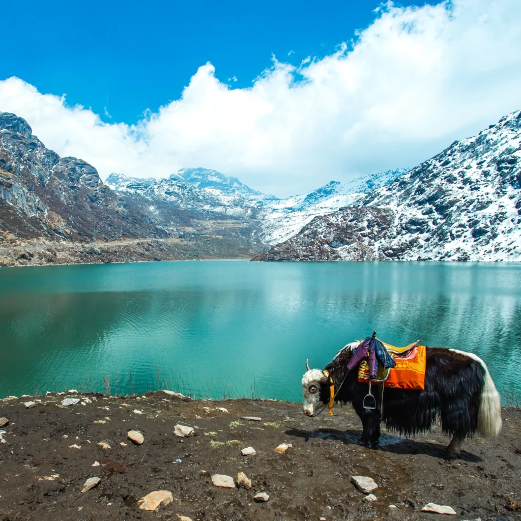 Sikkim & Darjeeling | Tour package