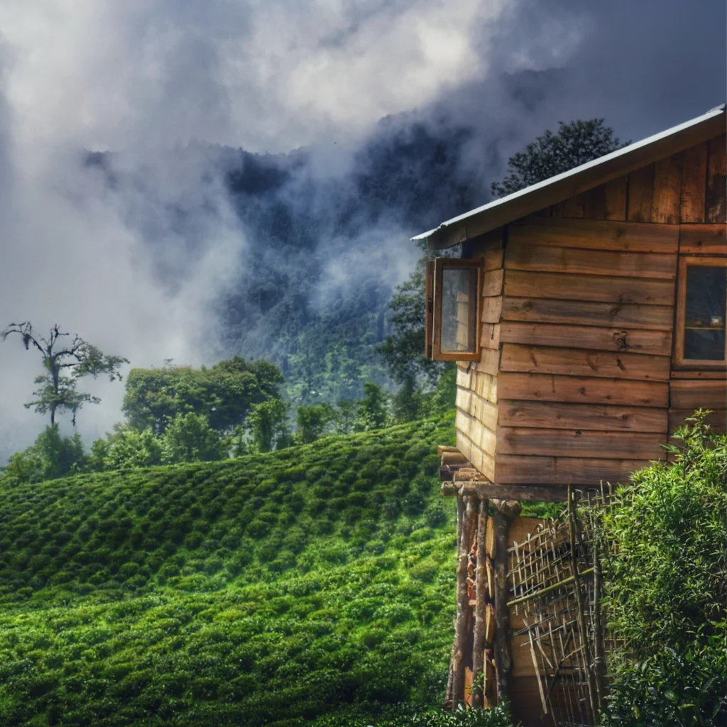 Assam, Meghalaya&Sikkim, Tour Package